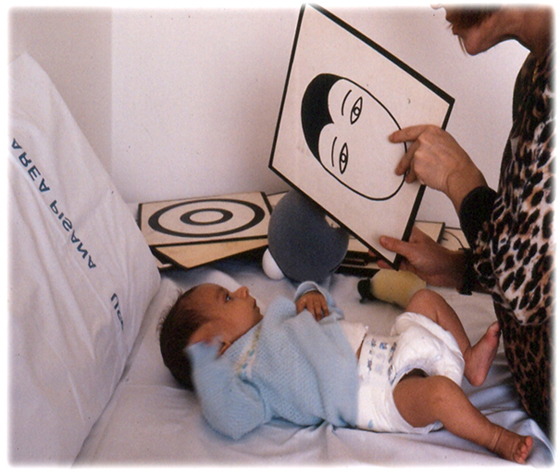 Figura 2: El ejercicio terapéutico cognoscitivo en el niño con patología neurológica (Método Perfetti)